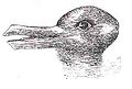 Duck-Rabbit illusion.jpg
